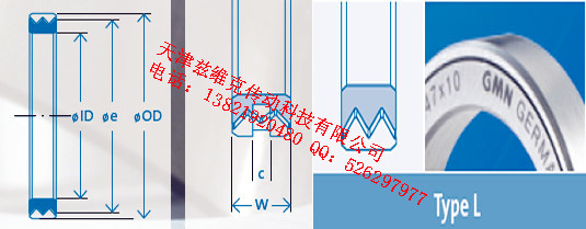 GMNL68X85X10油封圖紙